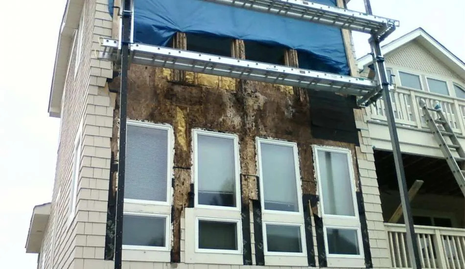 Rot repair difillipo 1 (1)